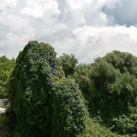 Appartement Pernari Spartià