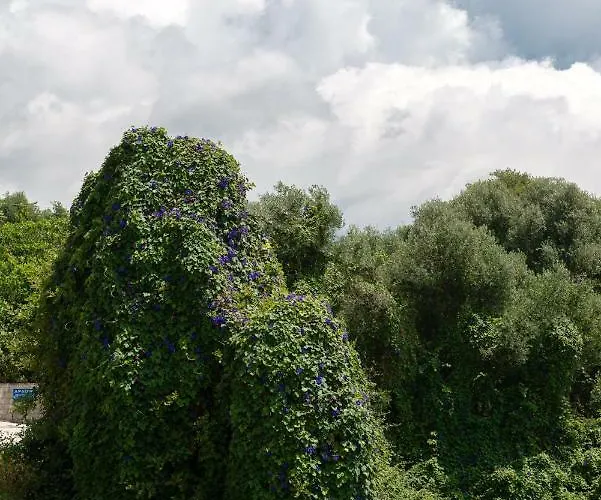 Appartamento Pernari Spartià